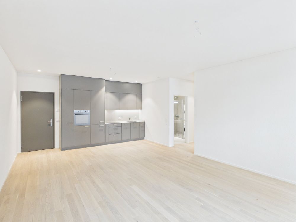 Erstbezug nach Kernsanierung – Moderne 3.5-Zimmerwohnungen mit hochwertigem Ausbaustandard - Bild 1