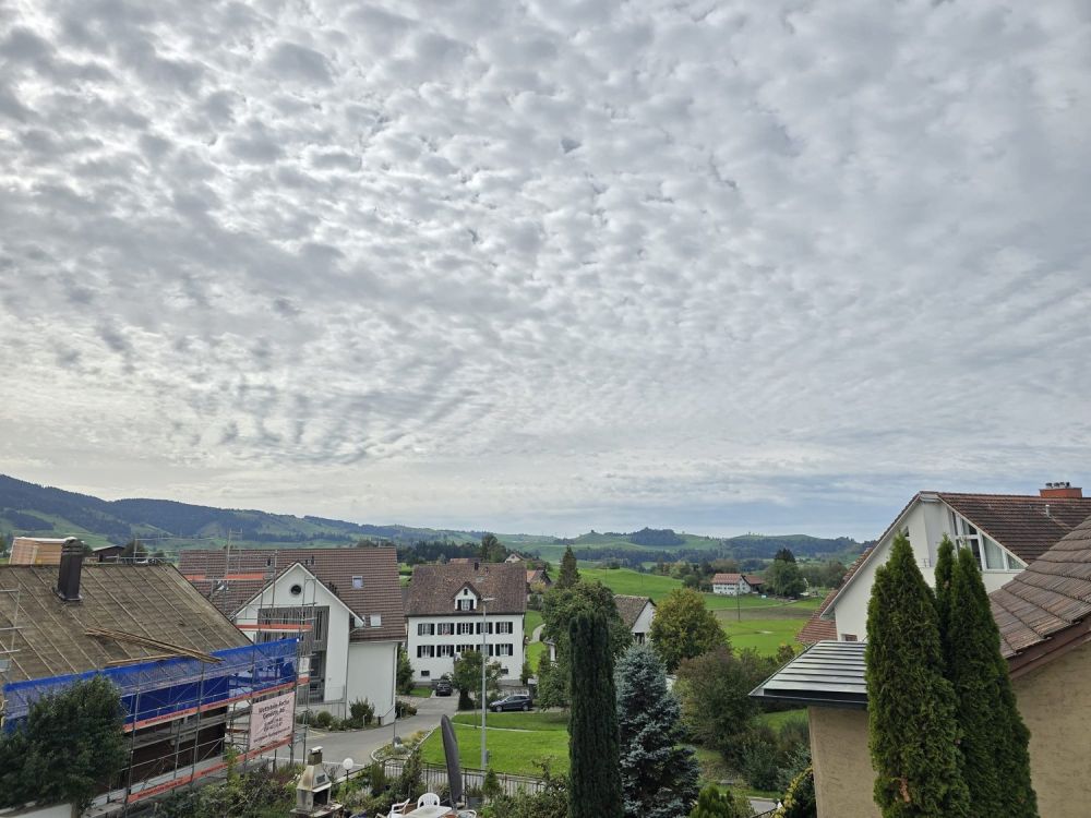 Modernes Wohnen in ruhiger und naturnaher Lage - Bild 4