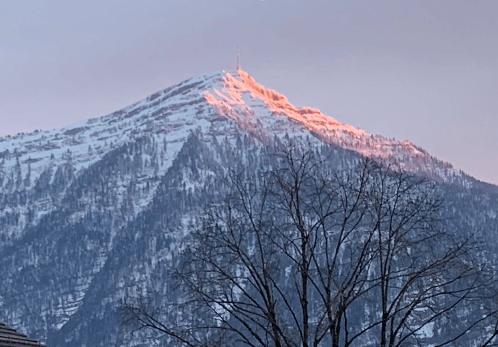 Freistehendes 2.5-Zimmer-Chalet in Walchwil – See-/Rigi-Sicht – Neubau 2026 - Bild 4