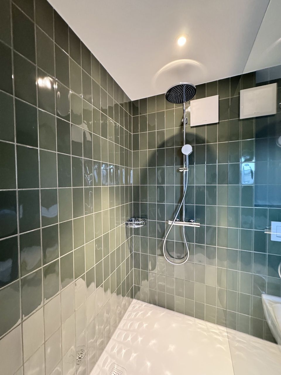 3.5 Zimmer Haus angebaut, Lift, Top Ausbau - Bild 8