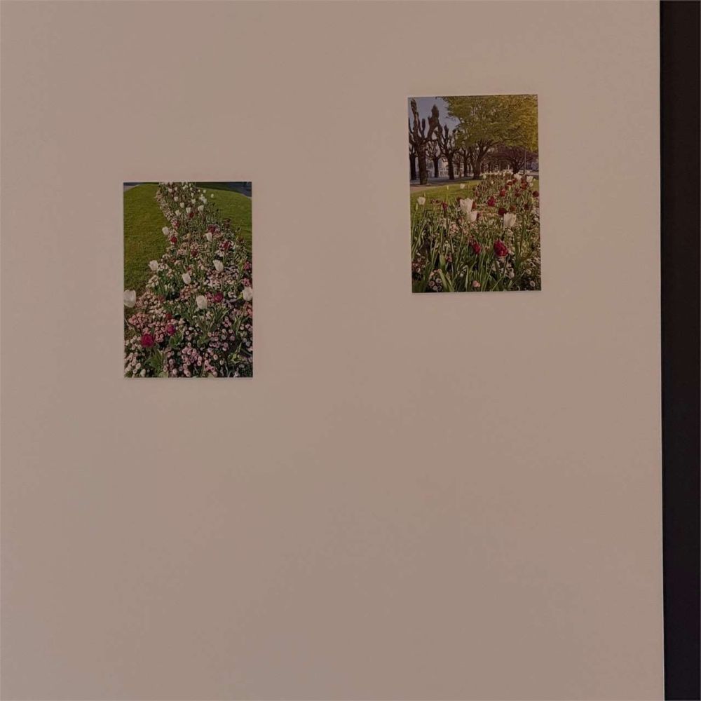 Green Corner - Appartamento Ammobiliato in Prima Locazione a Paradiso - Bild 8