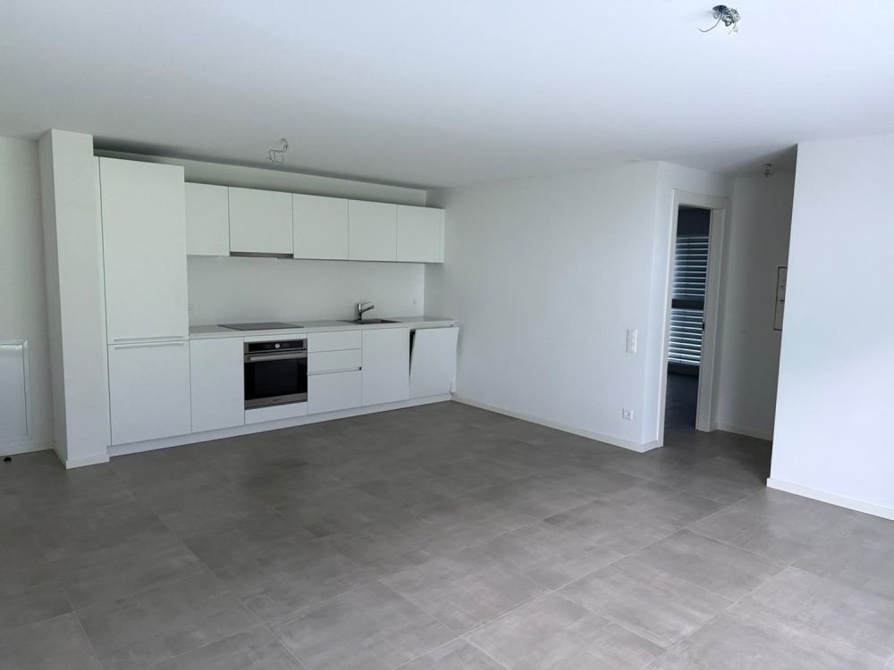 APP n 1 Brand New 2-Room Apartment in Iragna – Modern, Accessible & Pet-Friendly - Bild 1