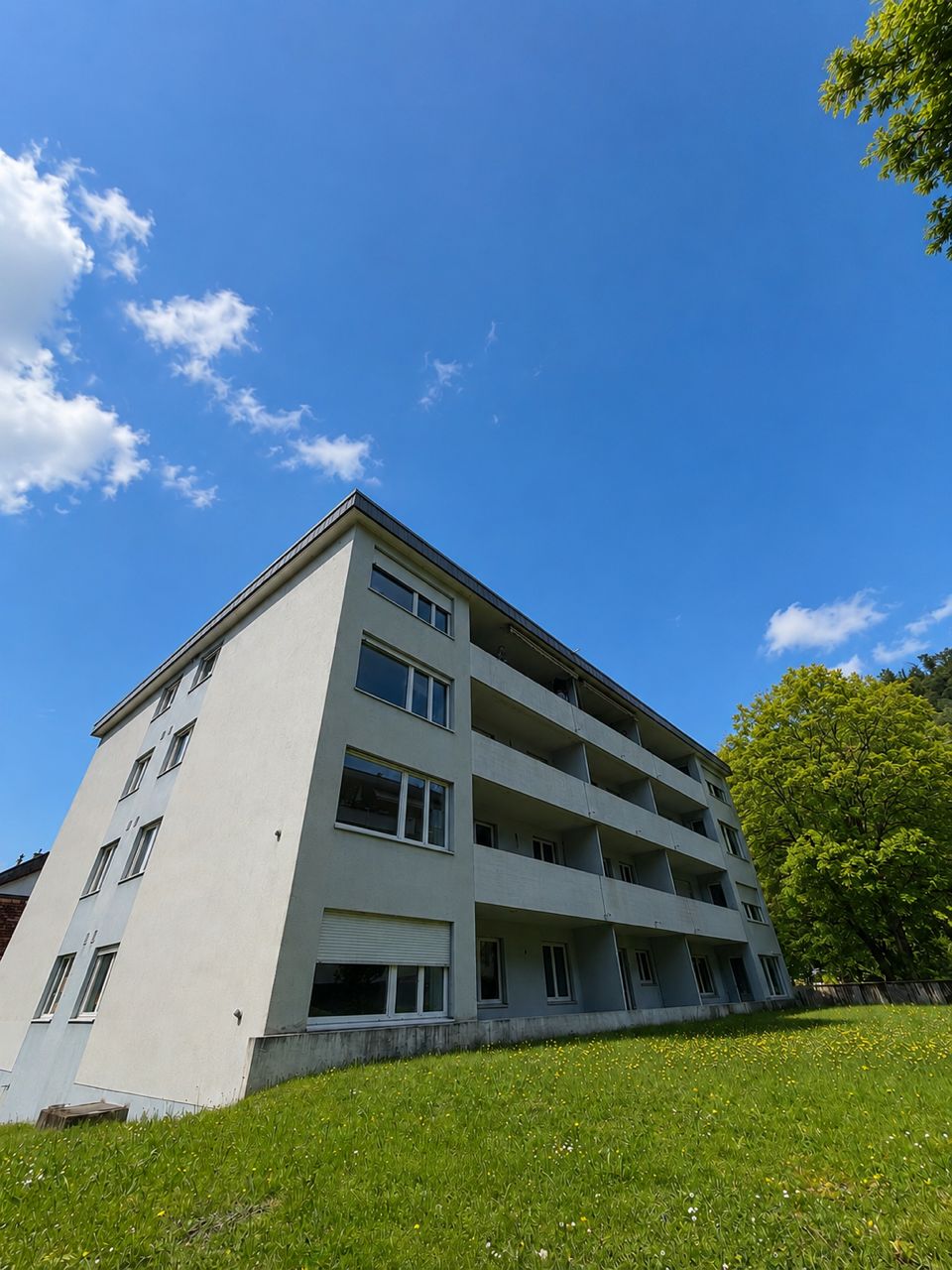 Erstvermietung nach Renovierung – Moderne 3.5-Zimmerwohnung in Trimbach - Bild 1