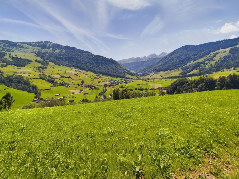 Charmante 3.5-Zimmer Wohnung auf dem Land in Nesslau - Image 9