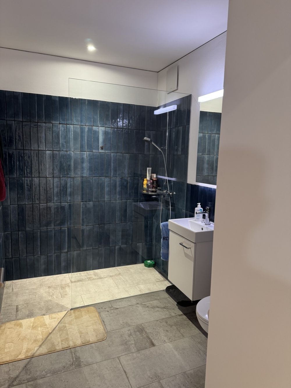 Helle 2.5-Zimmer-Wohnung in ruhiger Lage - Bild 7
