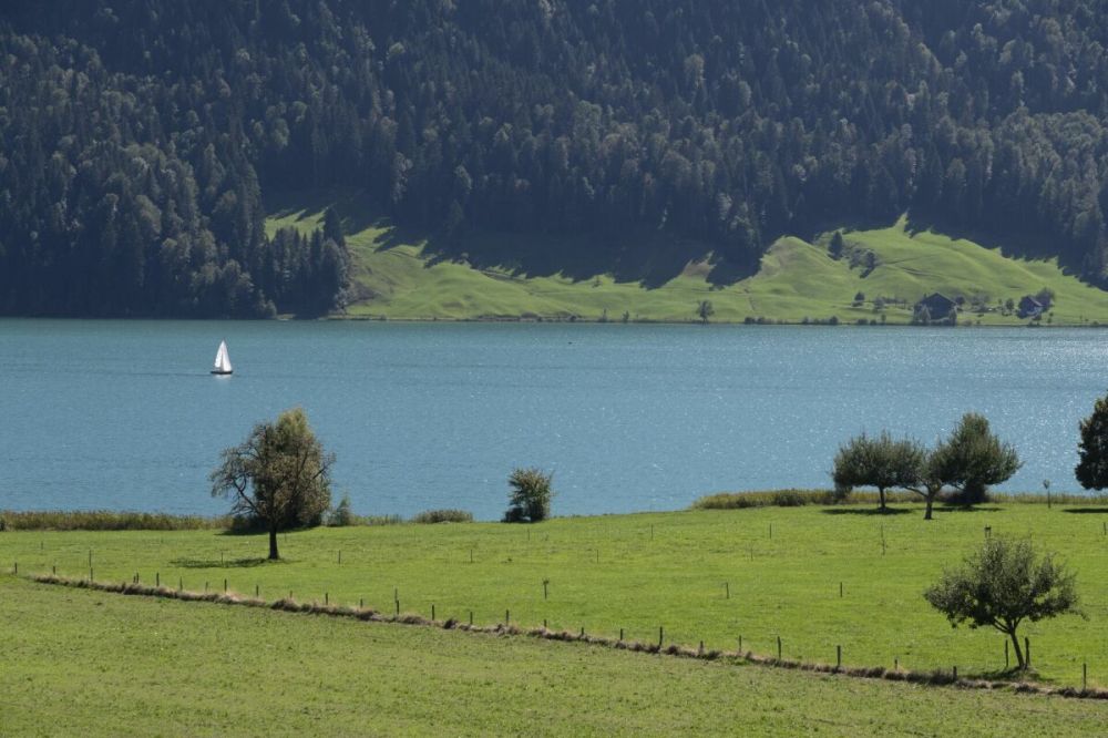 Exklusive 3.5 Zi-Dachwohnung mit traumhafter Panoramasicht auf den Ägerisee - Bild 7