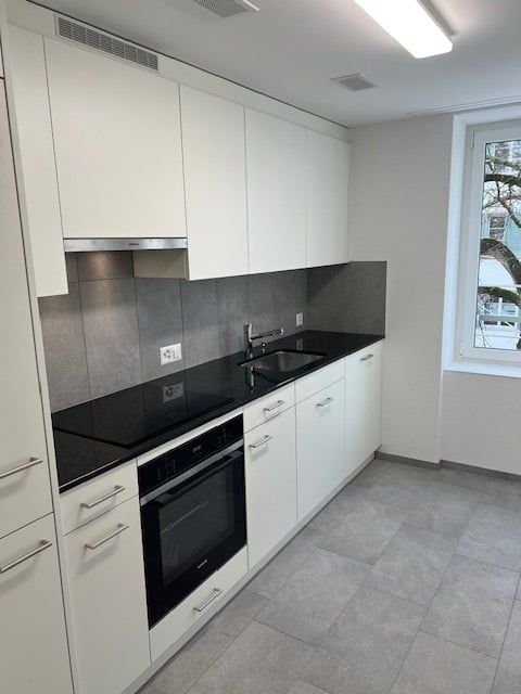 Erstvermietung nach Totalsanierung mit grosser Terrasse - Küche (2)