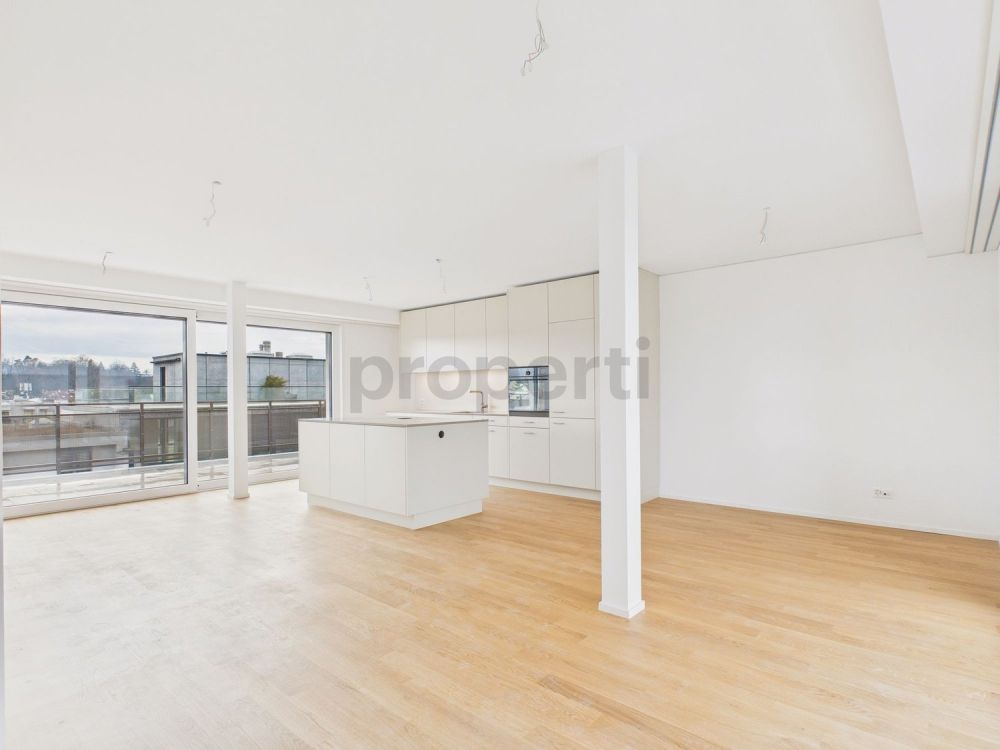 Moderne 3.5-Zimmer-Attikawohnung in Basel - Image 2