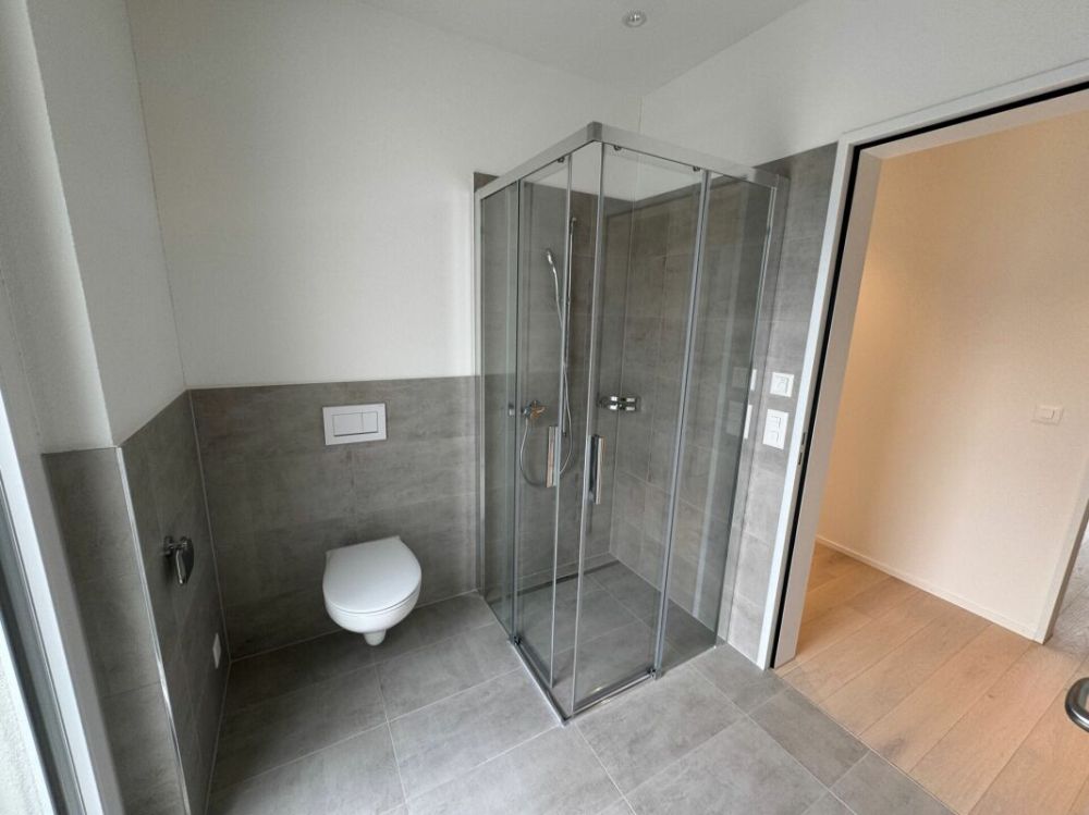 Erstvermietung: hochwertige 3.5-Zimmer-Attikawohnung mit Schloss- & Bergsicht - Bild 9