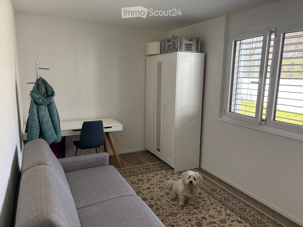 Prächtiges neues Zweifamilienhaus mit 7,5 Zimmern in Riaz - Bild 8