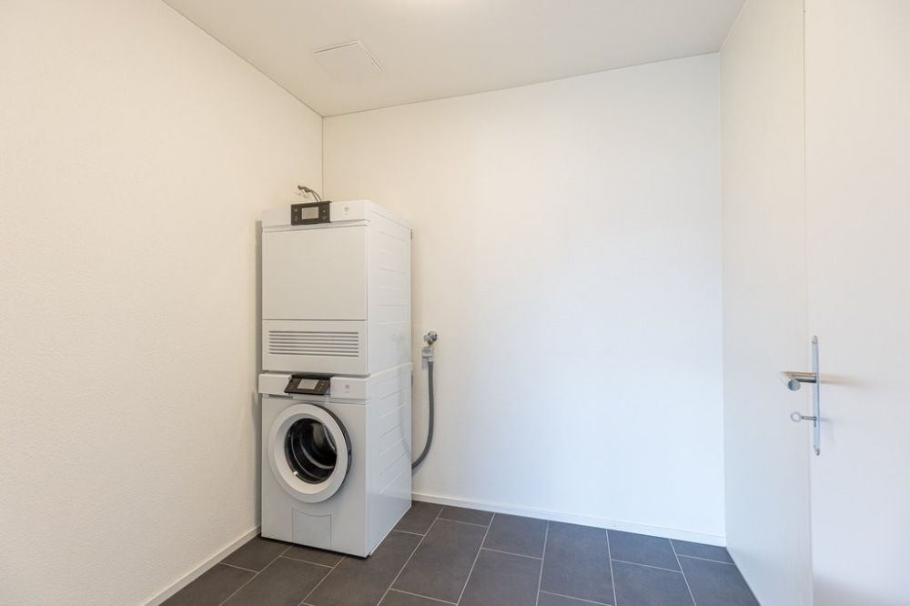 Keine 08/15 Wohnung - 123-14-0301_Reduit_mit_Waschturm.jpg