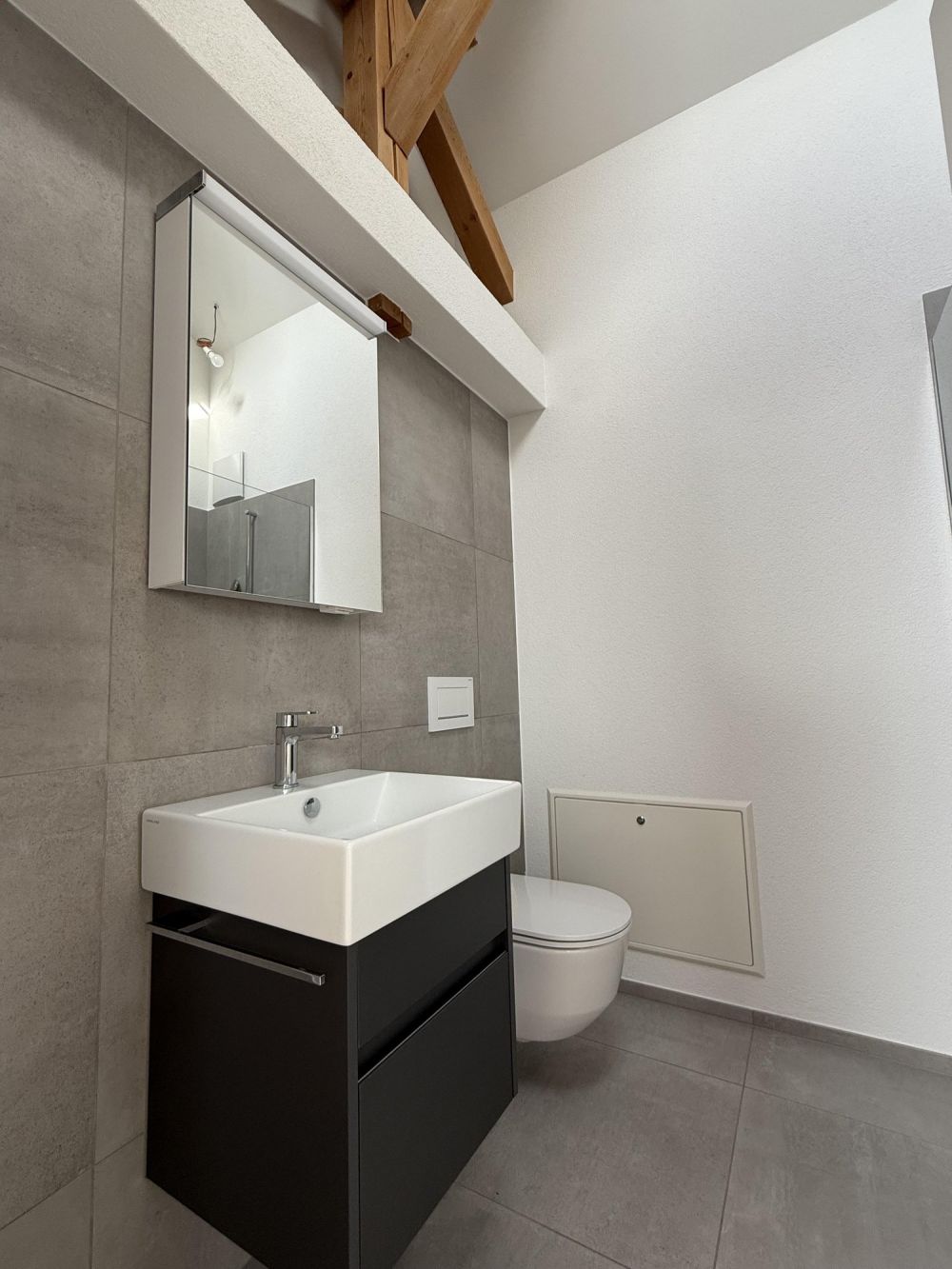 Charmante und helle1-Zimmer-Dachwohnung in Liestal - Bild 1