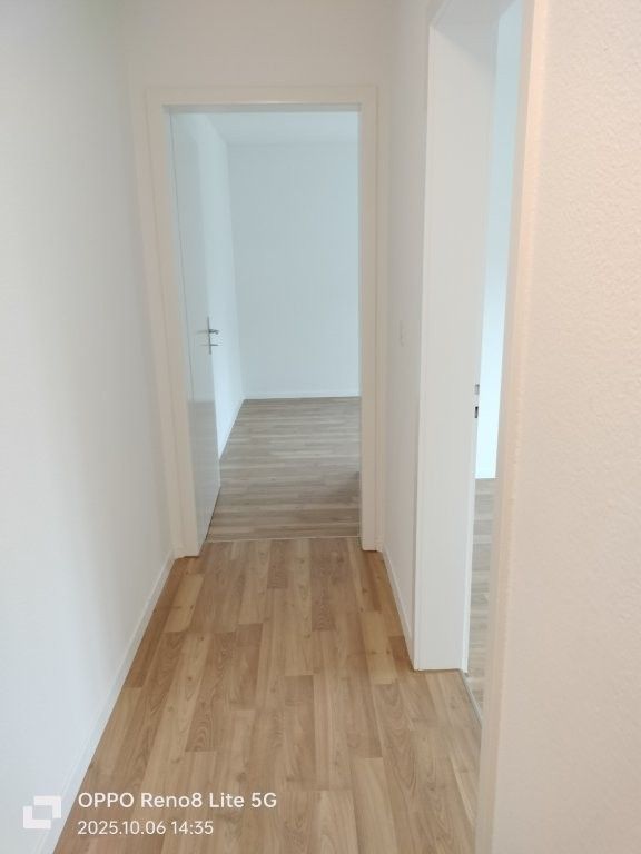 Erstbezug: Renovierte 3.5-Zimmer-Wohnung mit Balkon in Trimbach - Bild 5