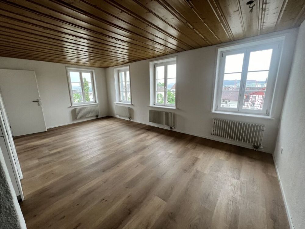 Erster Mietzins geschenkt: Neu sanierte 2.5-Zimmerwohnung zu vermieten - Wohnzimmer