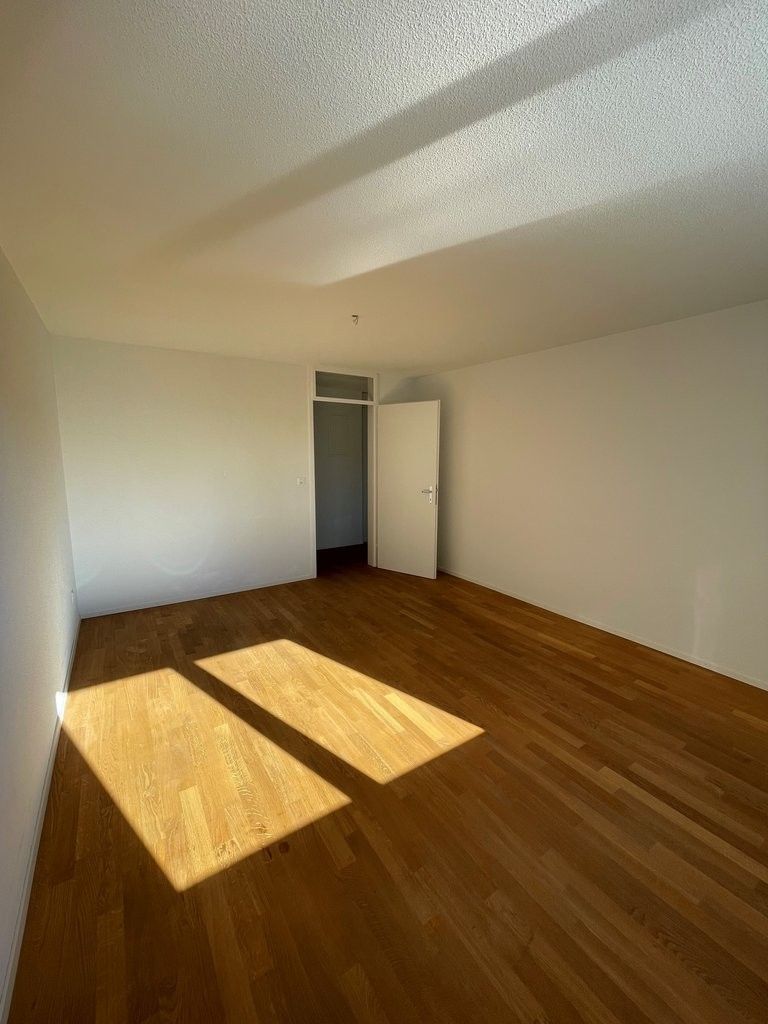 Ihre neue Wohnung mit Aussicht auf das Rheinfallbecken! - Zimmer.jpg