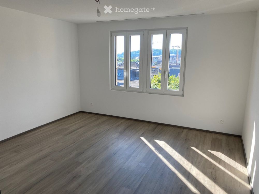 Top-Aussicht & Stadtnah: Frisch renovierte 3.5-Zi.-Wohnung - Bild 3