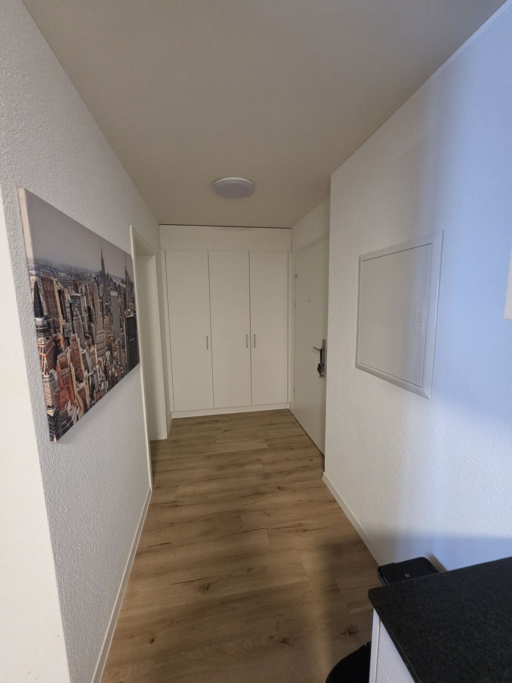 Nachmieter gesucht für Neubau 2.5-Zimmerwohnung in Dottikon - Bild 1