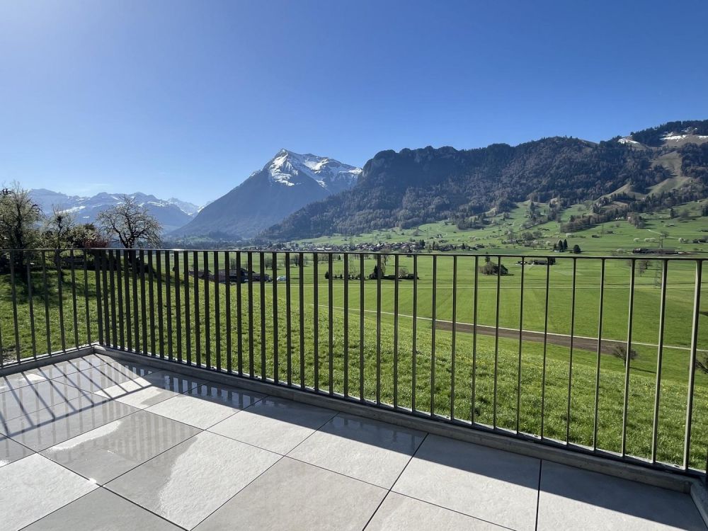 Neubau-Erstvermietung | 5.5-Zimmer DEFH | WF über 140 m² | Unverbaubare Panoramaaussicht - Bild 4