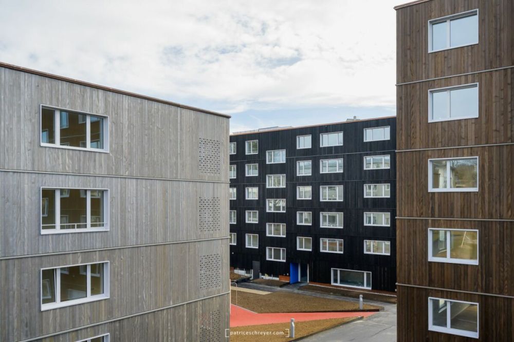 Très bel appartement de 3.5 pièces entièrement neuf avec balcon-loggia - Bild 8