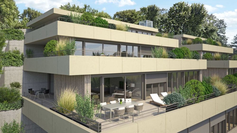 4½-Zimmer-Terrassenhaus mit Aussicht auf Alpen und Aarelandschaft - Bild 3