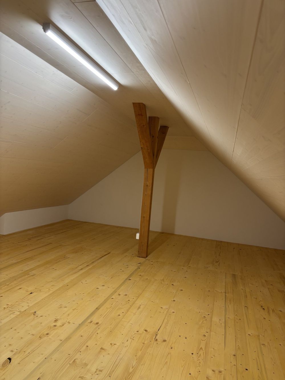 Large 4.5‑room attic apartment (180 m²) – ideal for expats or 2–3 person WG, 20 - 25 min to Basel - Home office (30m2)