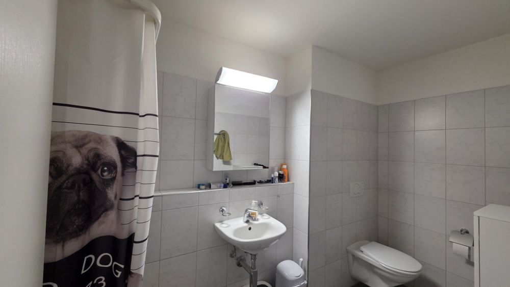 Maisonette-Wohnung in Dättnau - naturnah und modern - Badezimmer 2
