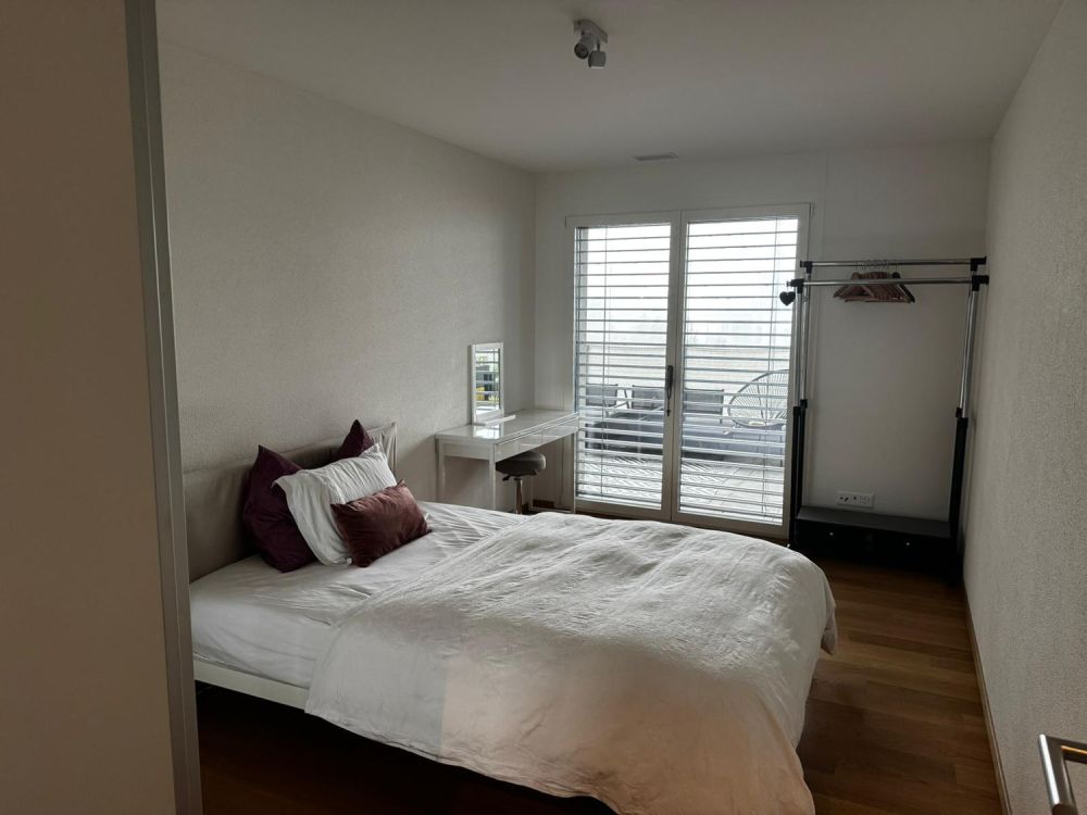Modernes 1 Zimmer mit Balkon in Apartment in Wollerau - Bild 1