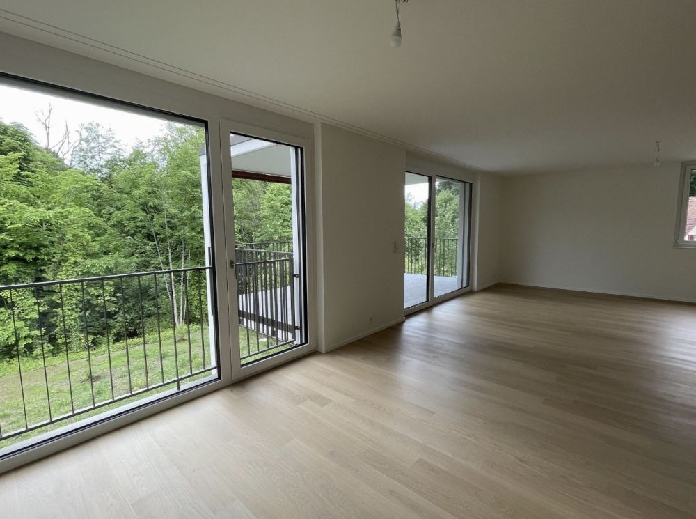 Moderne und grosszügige 4.5 Zimmer Wohnung in Matzingen - Nachmieter gesucht - Bild 1