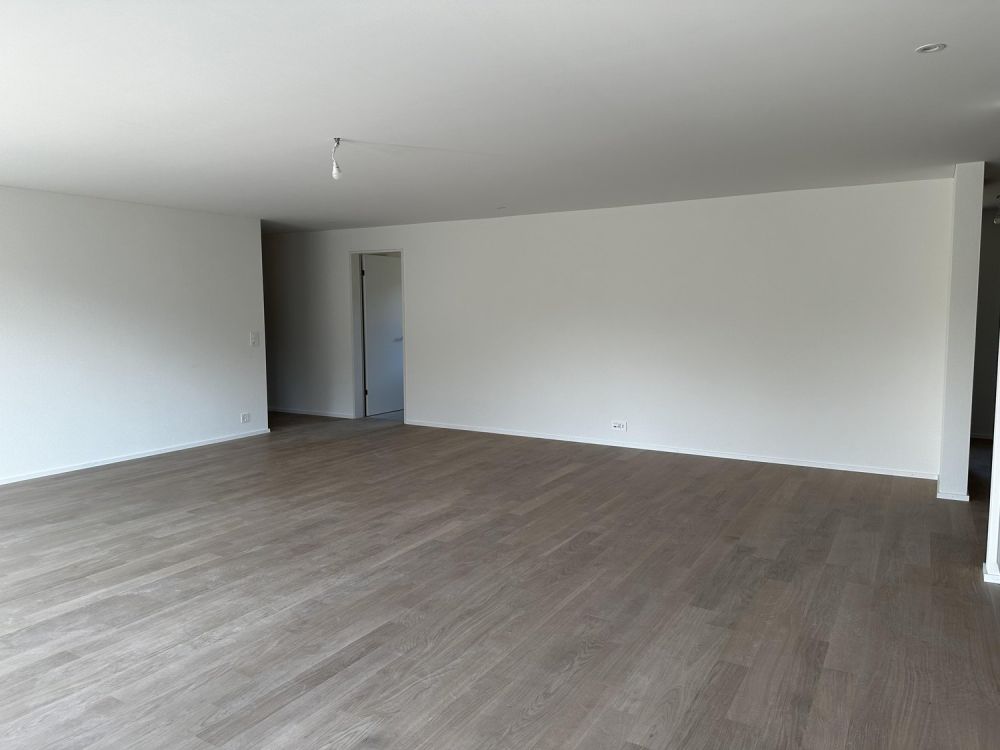 Erstvermietung - traumhafte 5.5-Zimmer-Attikawohnung mit grosser Terrasse und Blick ins Grüne - Bild 5