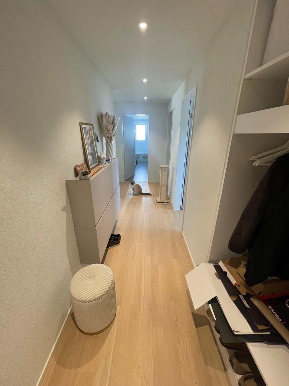 3.5 Zimmer Neubau in Dübendorf per 16.10.2026 zu vergeben - Bild 2