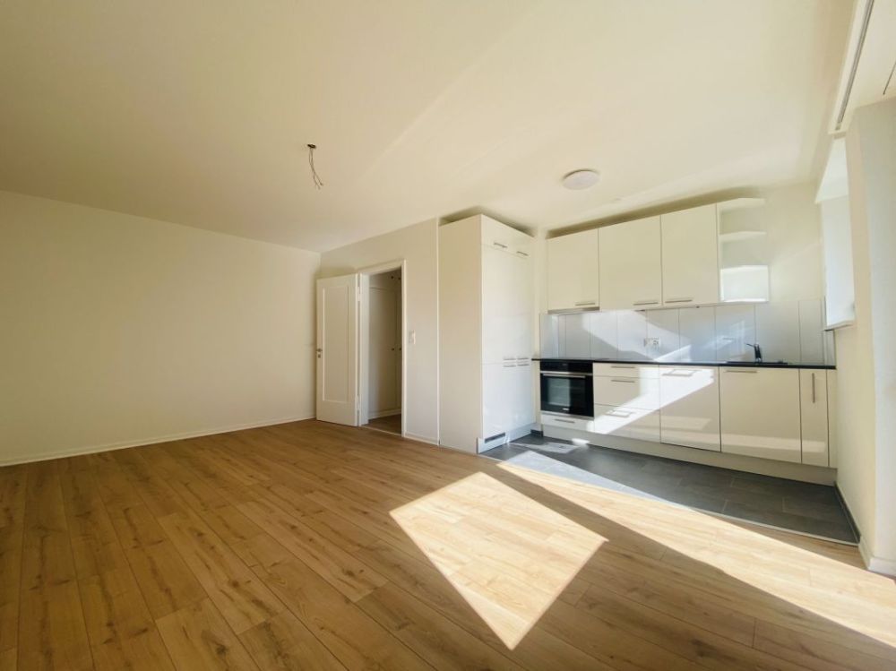 Total renovierte 2.5-Zimmer mit Balkon und Kellerabteil (1013) - Bild 1