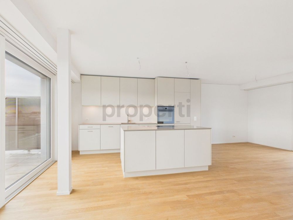 Moderne 3.5-Zimmer-Attikawohnung in Basel - Image 3