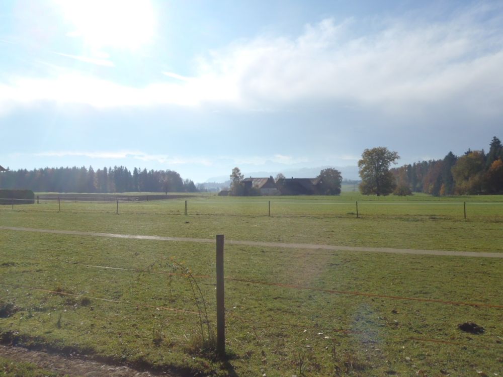 Erstbezug - stilvoll renovierte Wohnung mit traumhaftem Alpenpanorama - Bild 13