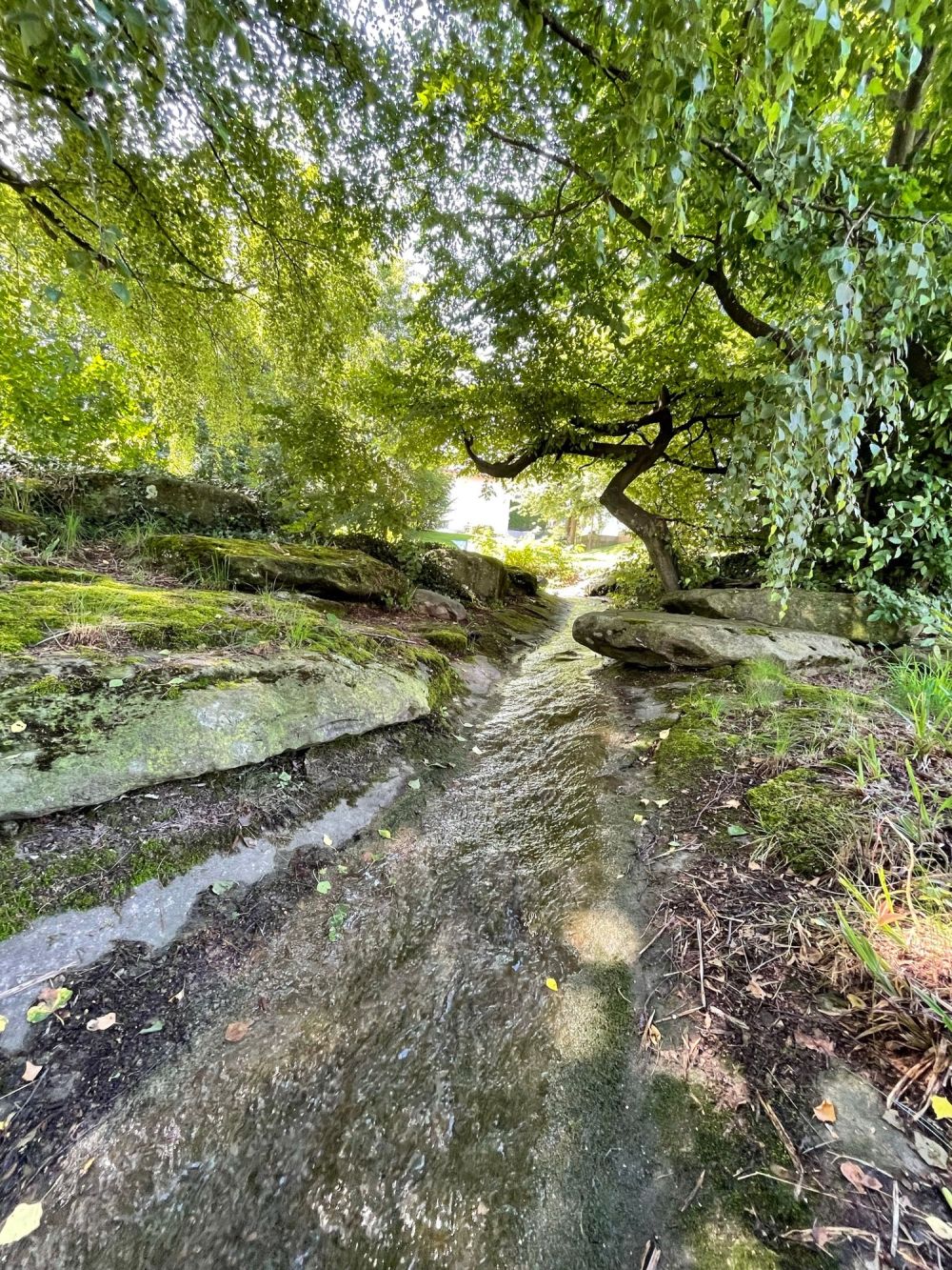 Se(e)nsationelle Aussicht! Ihr exklusives Zuhause über dem Bodensee im Swissair Tower II - Bach beim Spielplatz