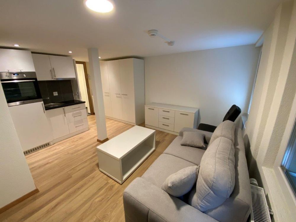 Neu renovierte Studiowohnung mit privatem Eingang  zu vermieten - Bild 1