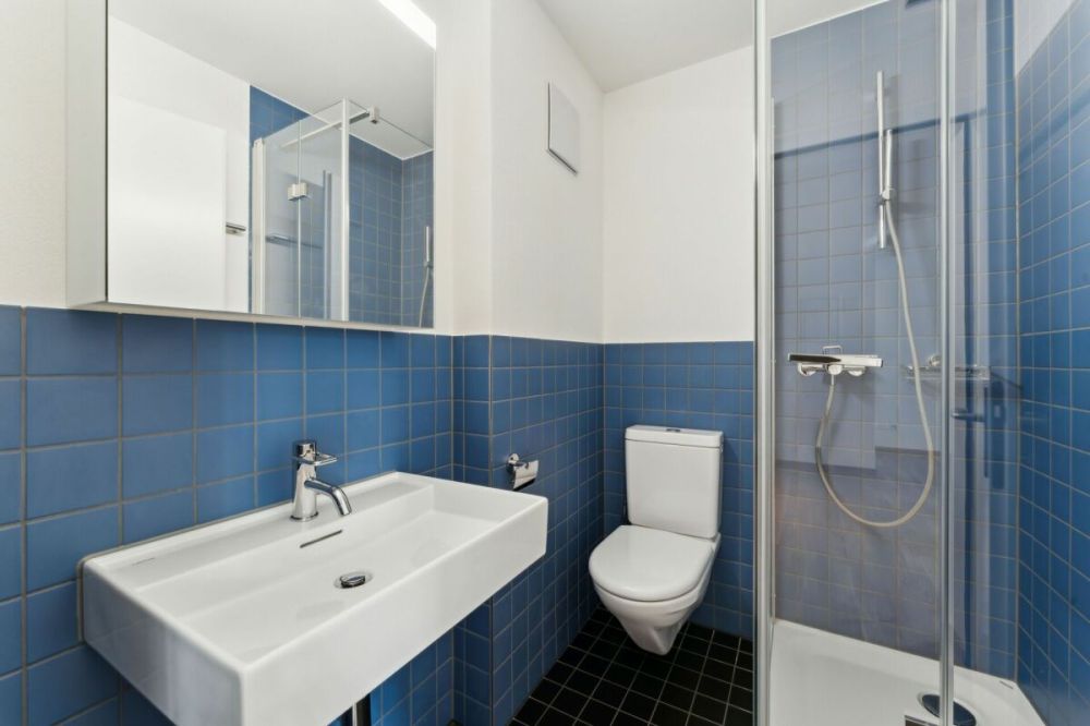 Frisch sanierte 1.5 Zimmer Wohnung mit Loft-Charakter - Bild 3