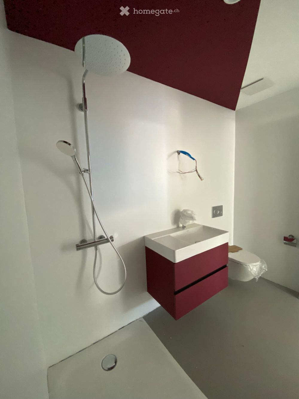 grosse Gartenwohnung im EG in Winterthur-Hegi - Bild 5