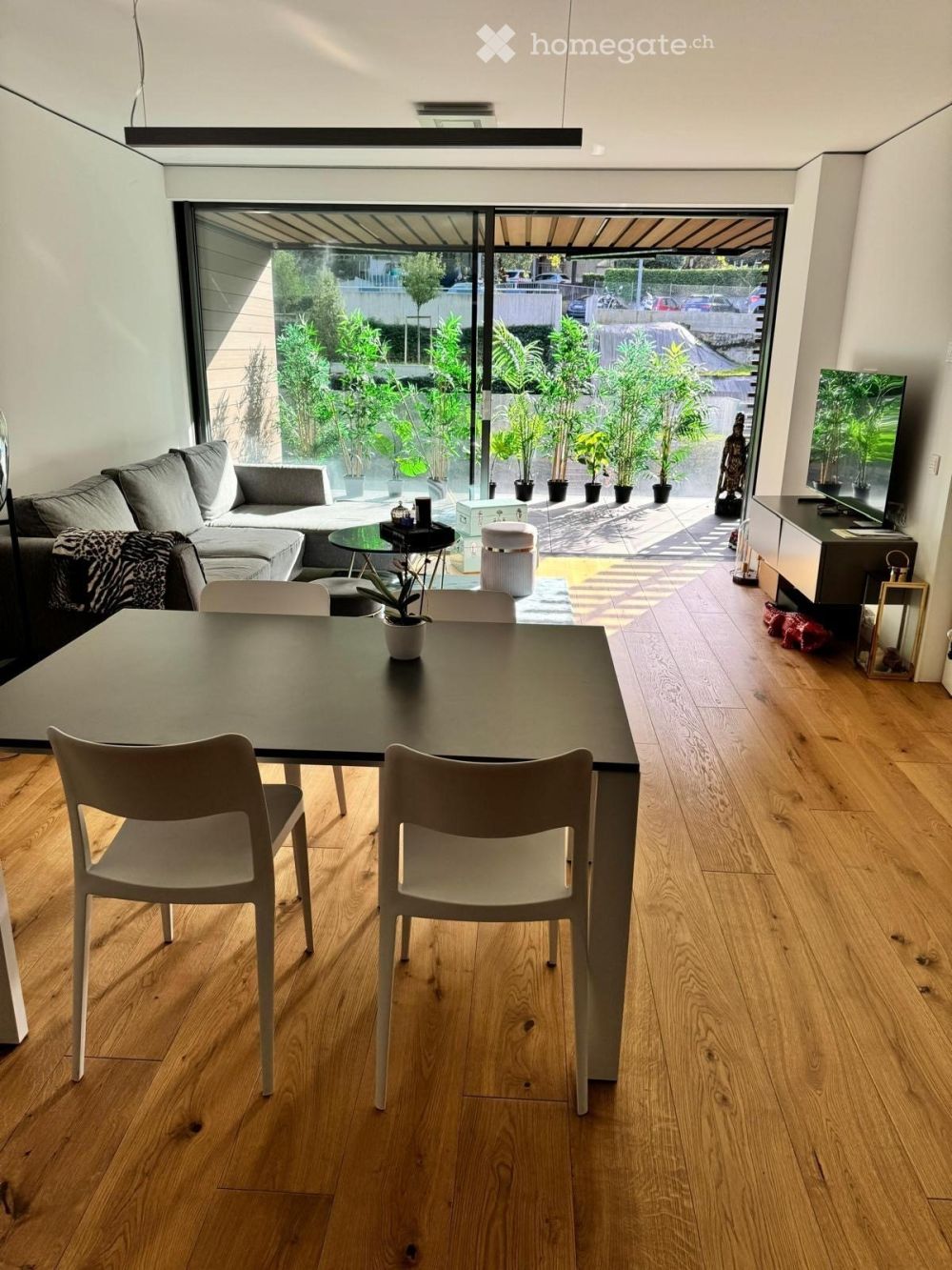 Moderno appartamento 2.5 locali arredato a Paradiso - Bild 1