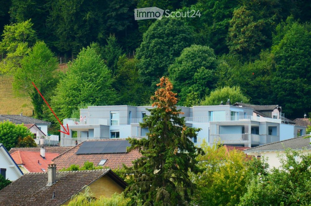WOHNEN MIT WEITSICHT - Moderne 3.5-Zimmer-Neubauwohnung mit zwei Terrassen in Villmergen - Bild 1
