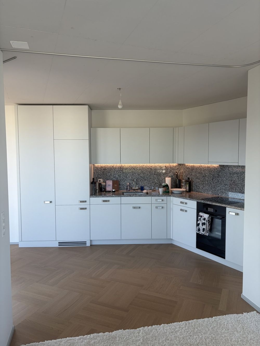 Lichtdurchflutete Neubauwohnung mit Balkon & hochwertiger Ausstattung in Top Lage in Dietikon - Bild 4