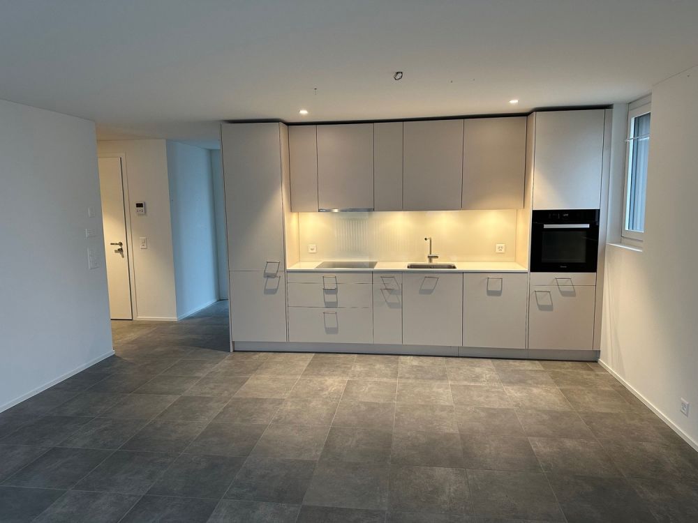 Obsteinen-Villigen: Perfektes Wohnen zwischen Natur und Moderne - Bild 1