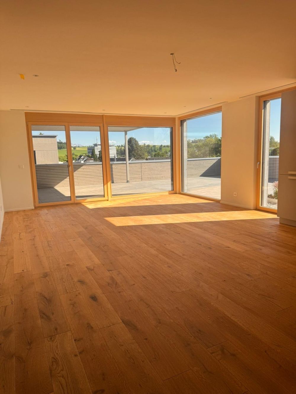 Grosszügige 4.5-Zimmer Attika Neubauwohnung an ruhiger Lage in Erlen mit grosser Attika-Terrasse - Bild 5