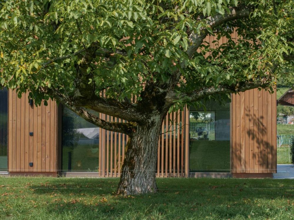 Modernes Wohnen mit Galerie, Garten und eigener Tiefgarage (Mittelhaus) - Galligässchen Ansicht