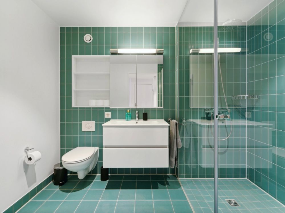 Basel-Münchenstein - 7 min. vom Basel SBB Bahnhof - Bild 5