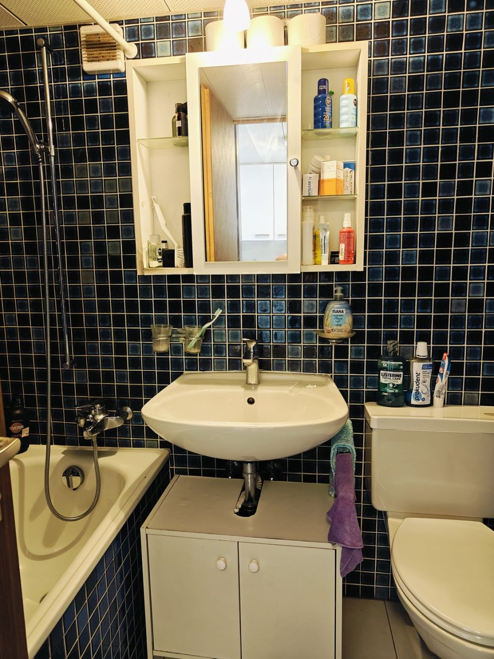 Möbiliertes 1.5-Zimmer-Studio mit Bergblick in Naters - Bild 5