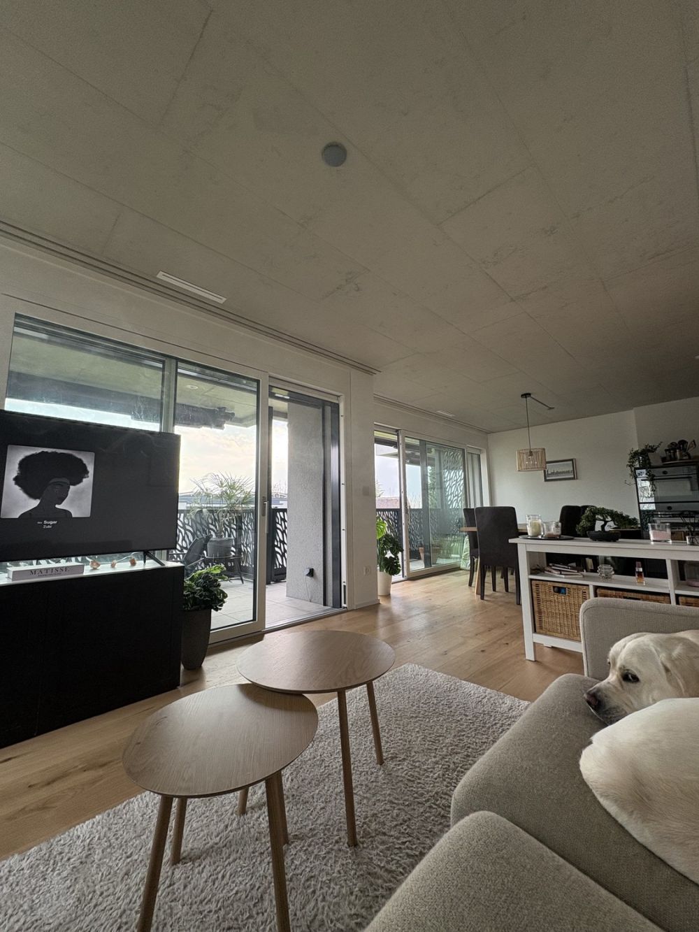 Nachmieter gesucht! Moderne Wohnung per sofort zu vermieten - Bild 5