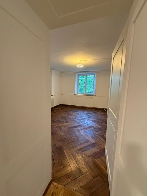 Erstvermietung nach Renovation, grosszügige 3.5-Zimmer-EG-Wohnung mit Terrasse und Garten - Bild 5