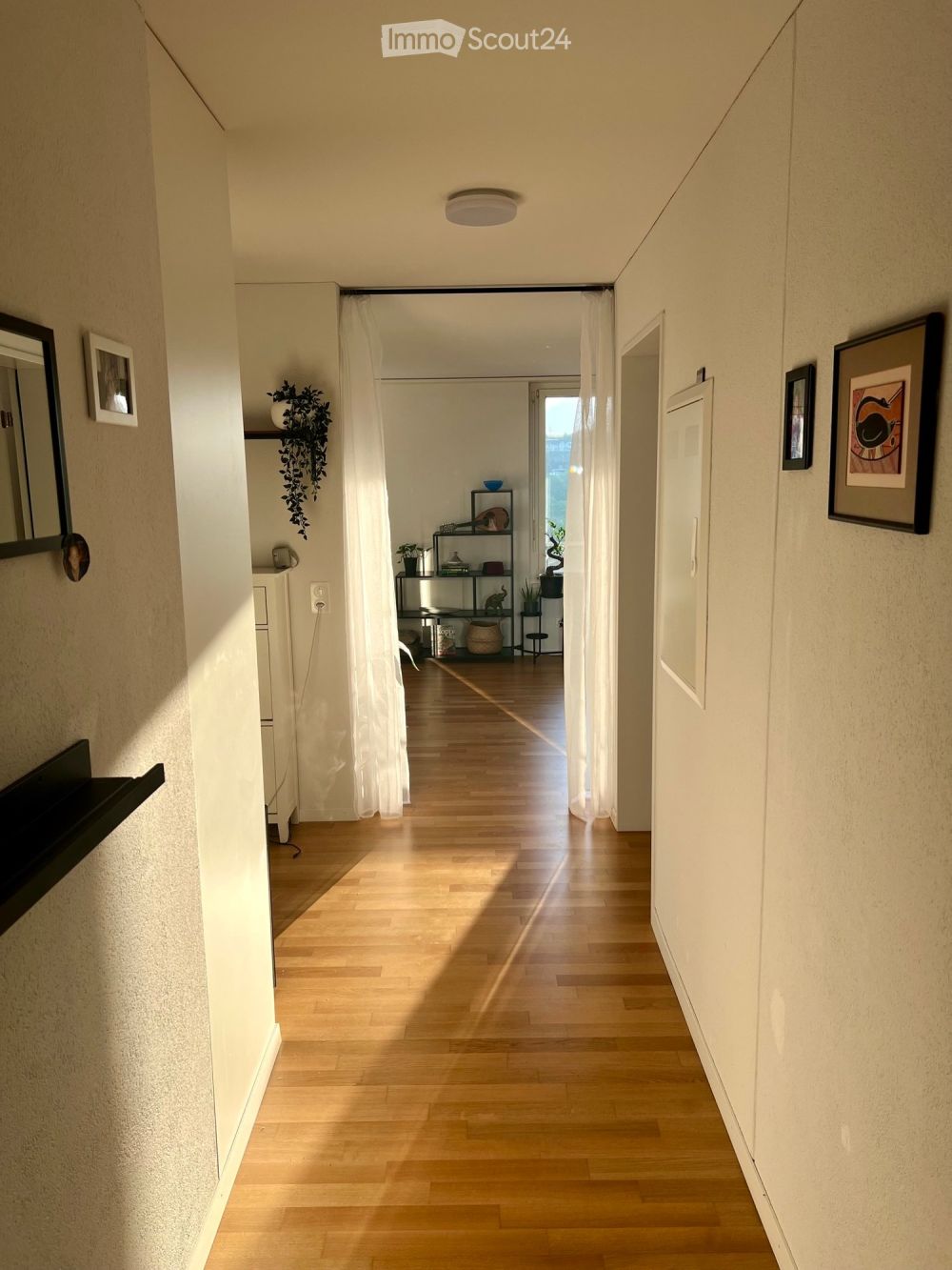 2.5 ZWG mit Weitsicht - Bild 5