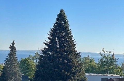 Neubauwohnungen zu vermieten - MFH Lotty - Bild 3