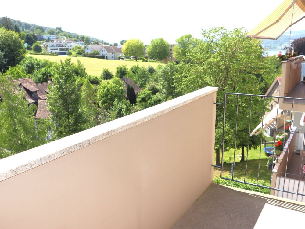 Erstvermietung nach Totalsanierung - grosszügige 2.0 Zi.-Wohnungen mit Balkon - Bild 8
